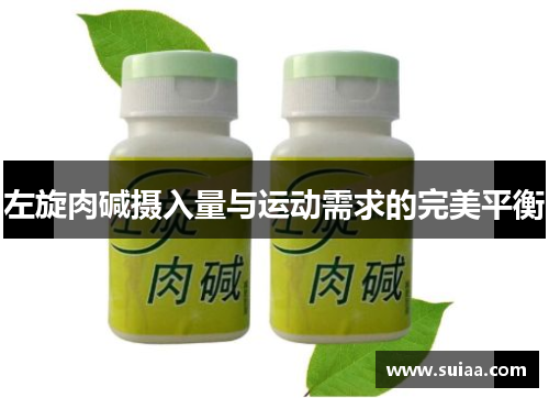 左旋肉碱摄入量与运动需求的完美平衡