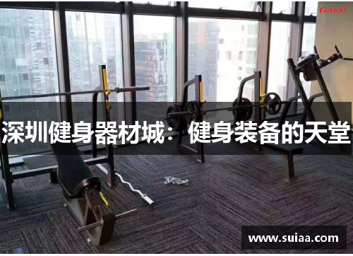 深圳健身器材城：健身装备的天堂