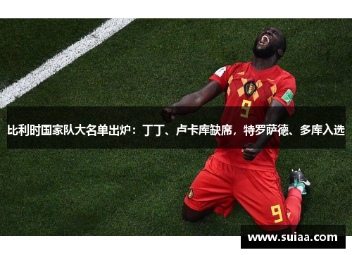 比利时国家队大名单出炉：丁丁、卢卡库缺席，特罗萨德、多库入选